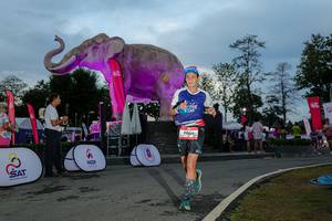 BIB: 
                            <button type="button" onclick="openModal(26529505)" class="btn btn-primary btn-sm float-right btn-popup" data-toggle="modal" data-target=".modal-high-quality">
                        <i class="fas fa-shopping-cart"></i> Add to Cart
                    </button>
                                            <button type="button" onclick="isThisMe(26529505, true)" class="btn btn-success btn-sm float-right btn-popup btn-isme hidden" data-toggle="tooltip" data-placement="bottom" title="นี่คือรูปของคุณใช่ไหม คลิกที่นี่เพื่อเอาเข้าอัลบั้ม">
                        <i class="fas fa-plus"></i> Add to album
                    </button>
                    <button type="button" onclick="isThisMe(26529505, false)" class="btn btn-warning btn-sm float-right btn-popup btn-isnotme hidden">
                        <i class="fas fa-ban"></i> Remove from album
                    </button>